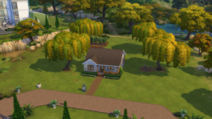 Growing Family House